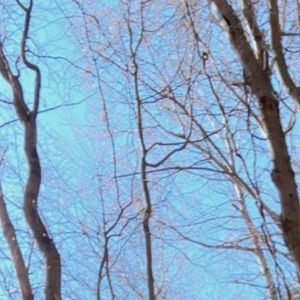 Meet your Posher, Naima